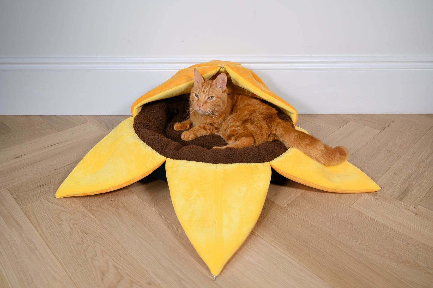 Sunflower Cat Bed, Cat Cave, 3 Petals up with Phineas