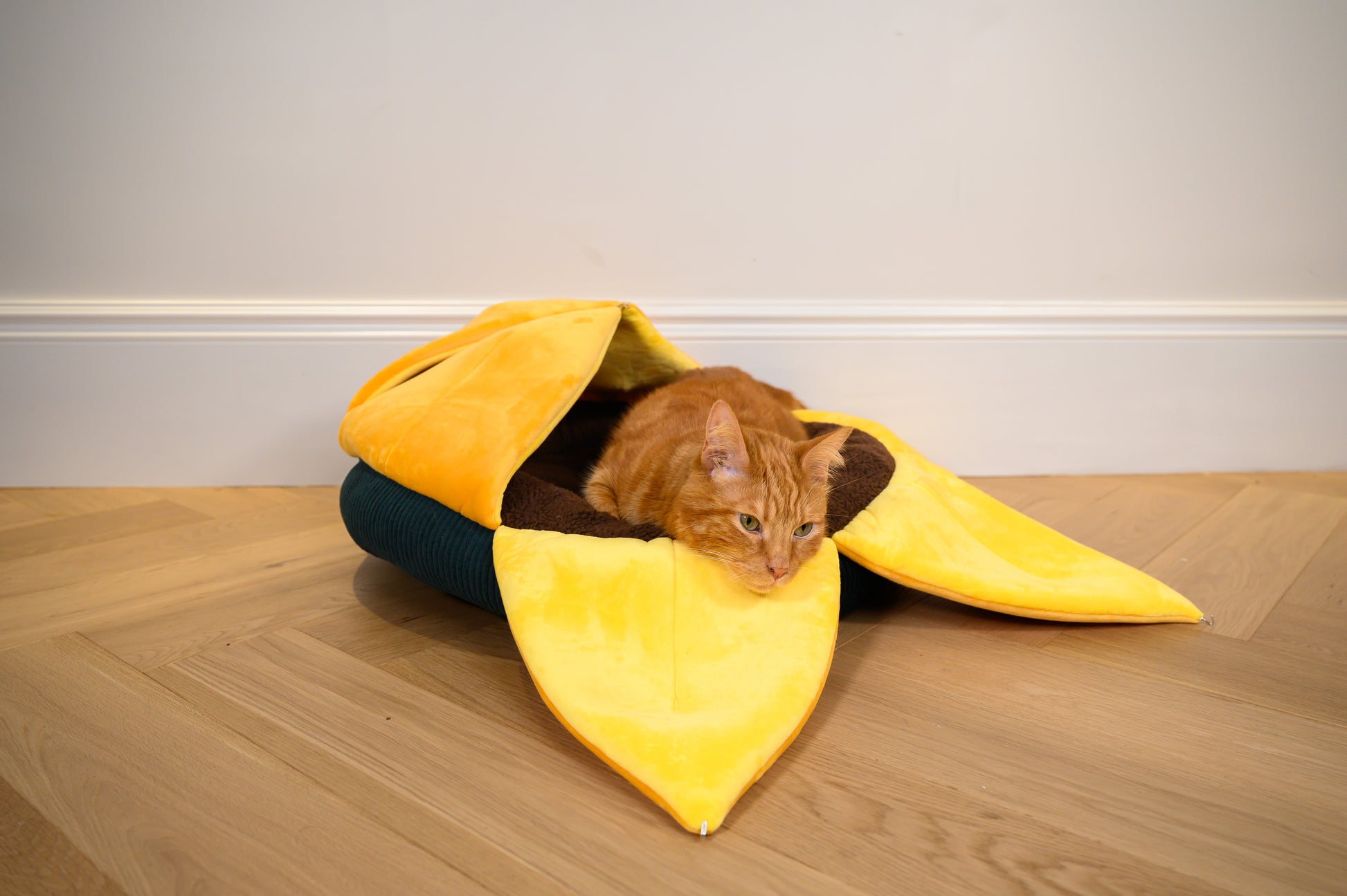 Sunflower Cat Bed, Cat Cave, 3 Petals Up, Side